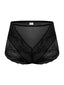 Plus Size Lace Jacquard Sheer High Waist Breathable Panties
