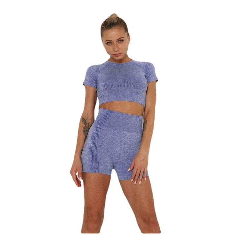 Women's High Waist Yoga Sets High Elasticity Skinny Quick Dry Yoga Sets Yoga Shirt Yoga Shorts Fitness Gym Workout Running Sports Clothing Sets