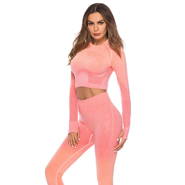 Fashion Fitness Leggings Ombre Seamless Crop Tops For Women Two Piece Set Sportswear Sweatshirt Tracksuit Women Sets - Sheseelady
