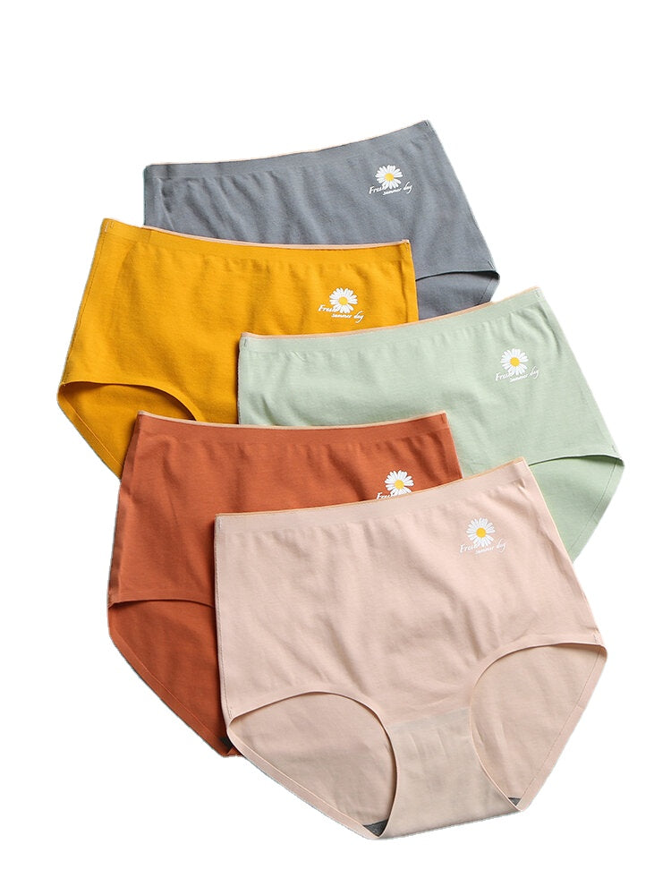 Women's Daisy Print High Waist Seamless Cotton Panties - Breathable & Antibacterial Main image