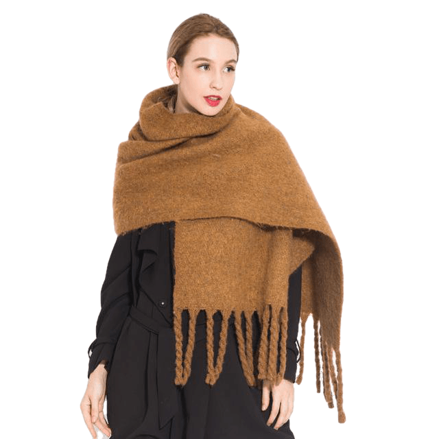 Chic Autumn/Winter Women's Tassel Shawl With Solid/Plaid Print Main image