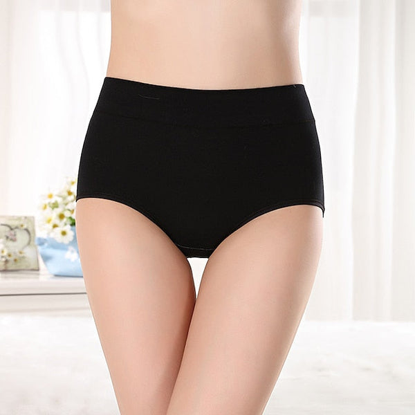 Women's Basic Comfort Pure Color Brief Micro-elastic High Waist