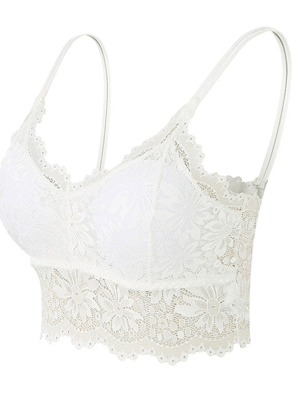 Women's Lace Bras Sheer Bras 34 Cup V Neck Push Up Lace Pure Color Pull-On Closure Date Valentine's Day Casual Daily Nylon Sexy 1PC Bras & Bralettes