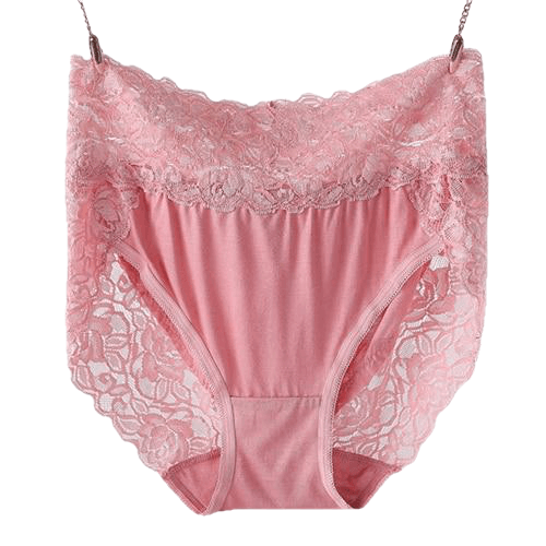 Ropa Interior Femenina Lace Sexy Lingeries Briefs Women Underwear Plus Size 6Xl High Waist Women'S Panties