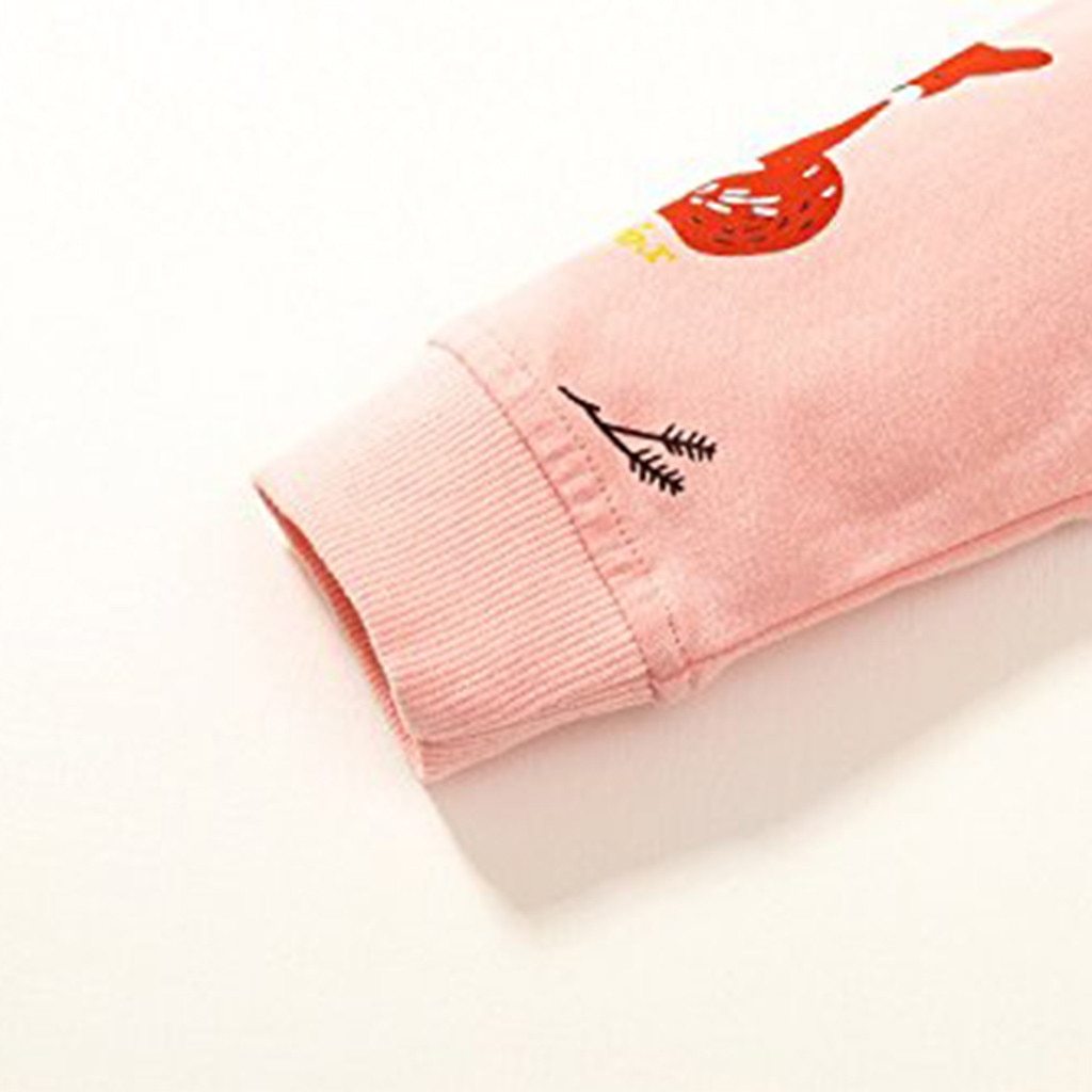 Toddler Baby Boys Girls Cartoon Fox Print Boys Hoodies